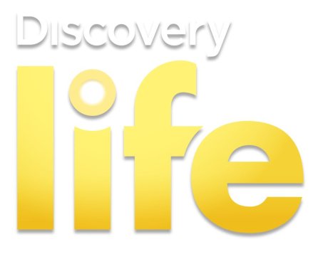 Discovery Life